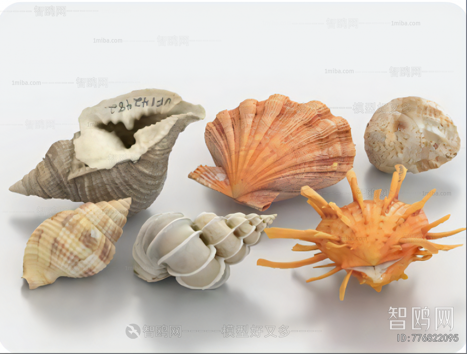 Modern Aquatic Animals