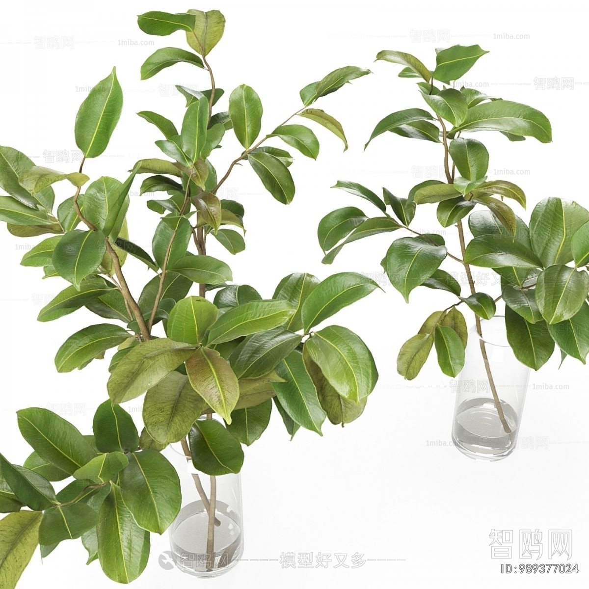 Modern Aquatic Green Plant
