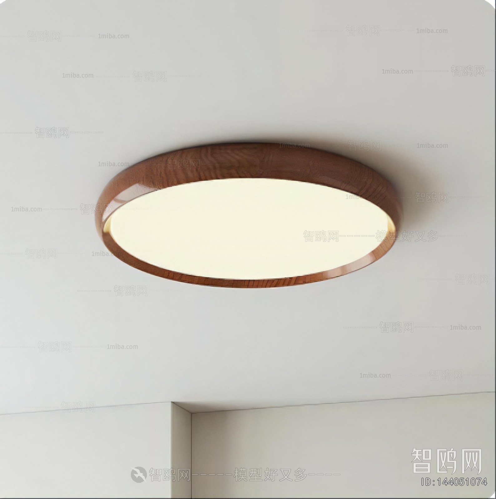 Modern Ceiling Ceiling Lamp