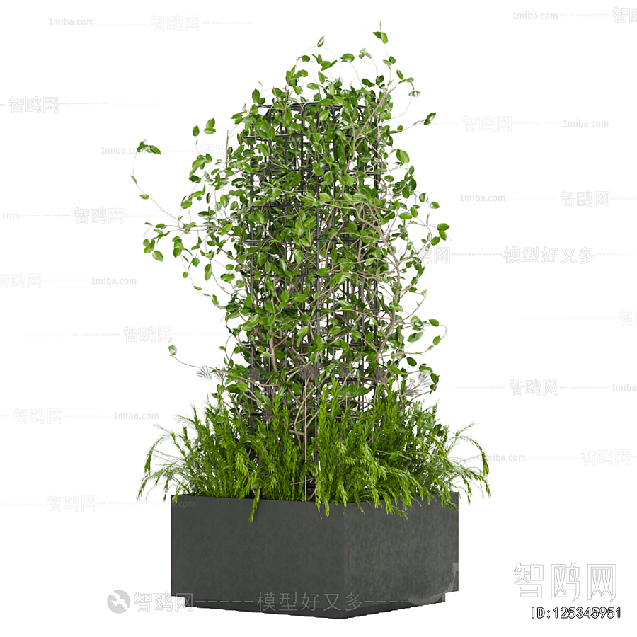 Modern Flower Bed, Flower Bowl, Flower Box