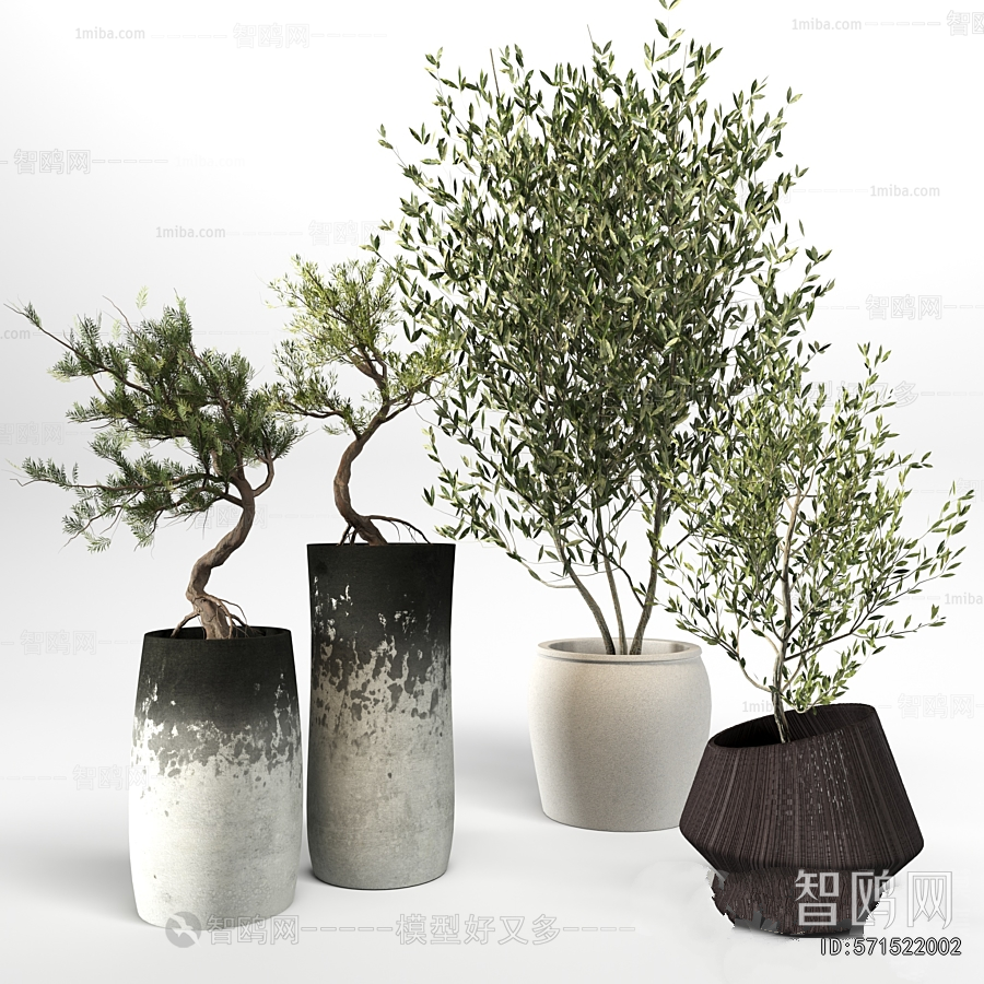 Modern Ground Green Plant Potted Plants