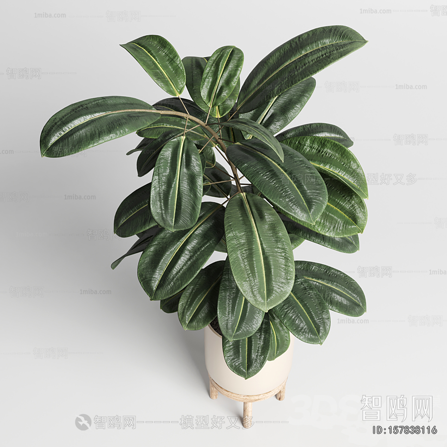 Modern Ground Green Plant Potted Plants