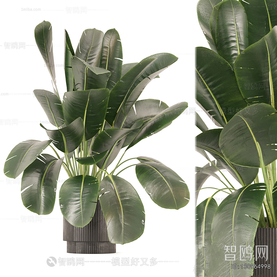 Modern Ground Green Plant Potted Plants