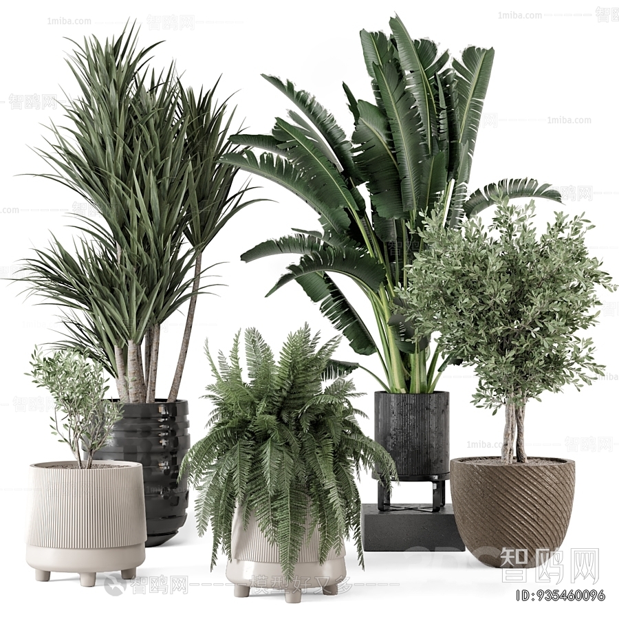 Modern Ground Green Plant Potted Plants