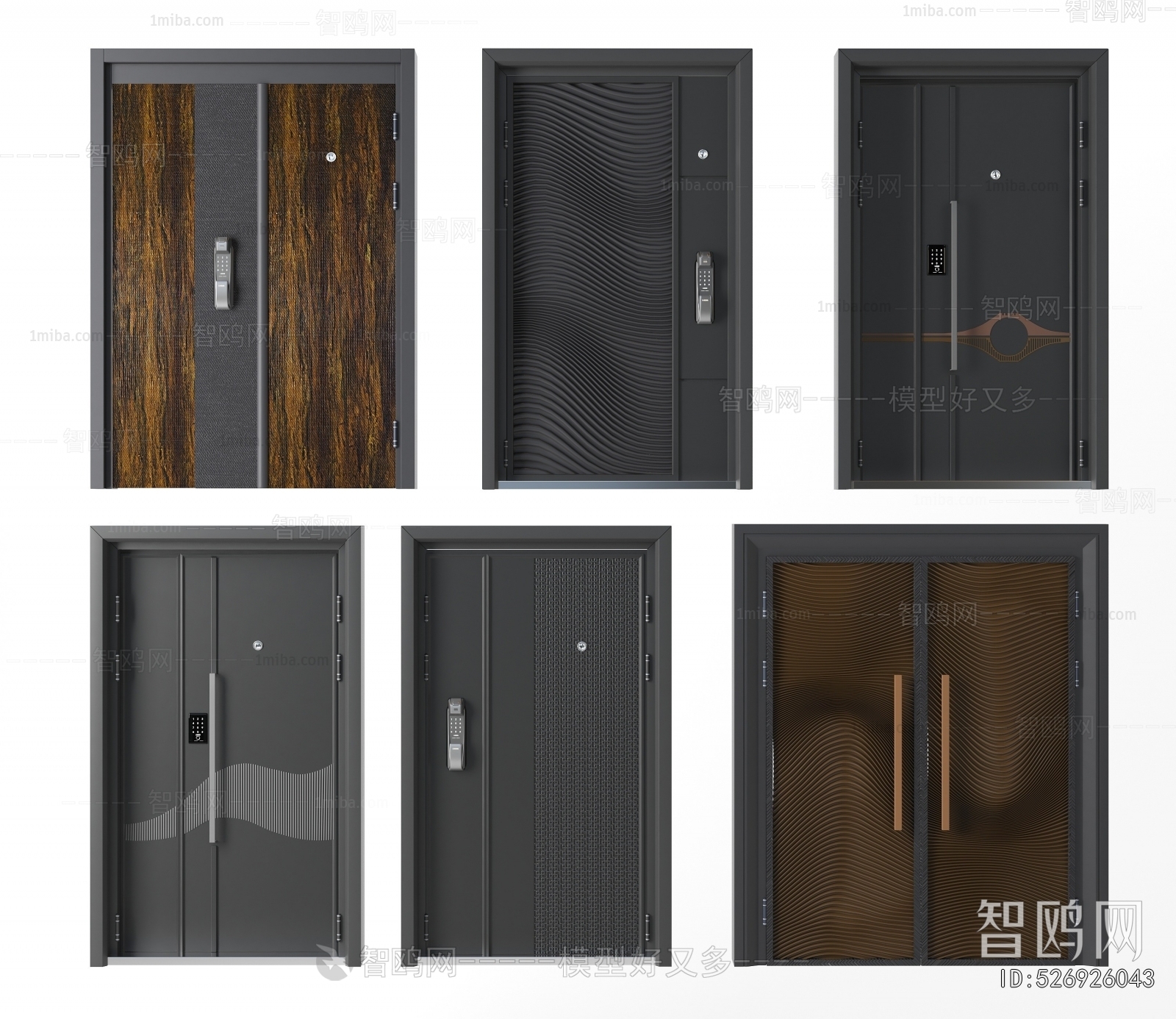 Modern Entrance Door