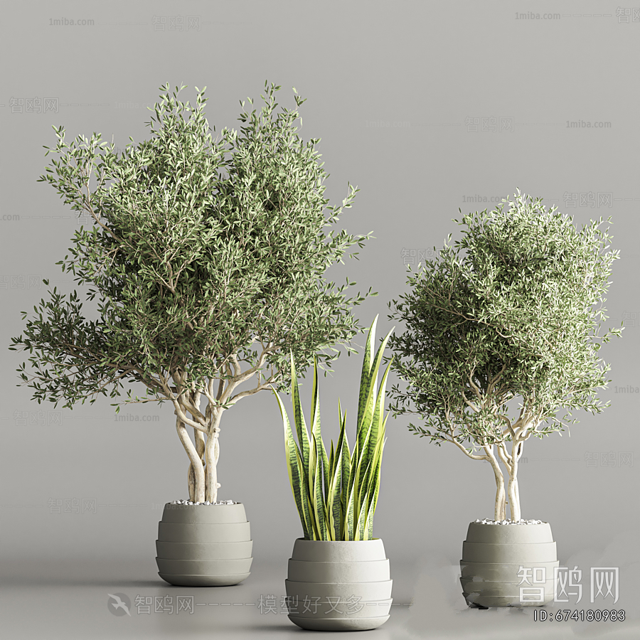 Modern Ground Green Plant Potted Plants