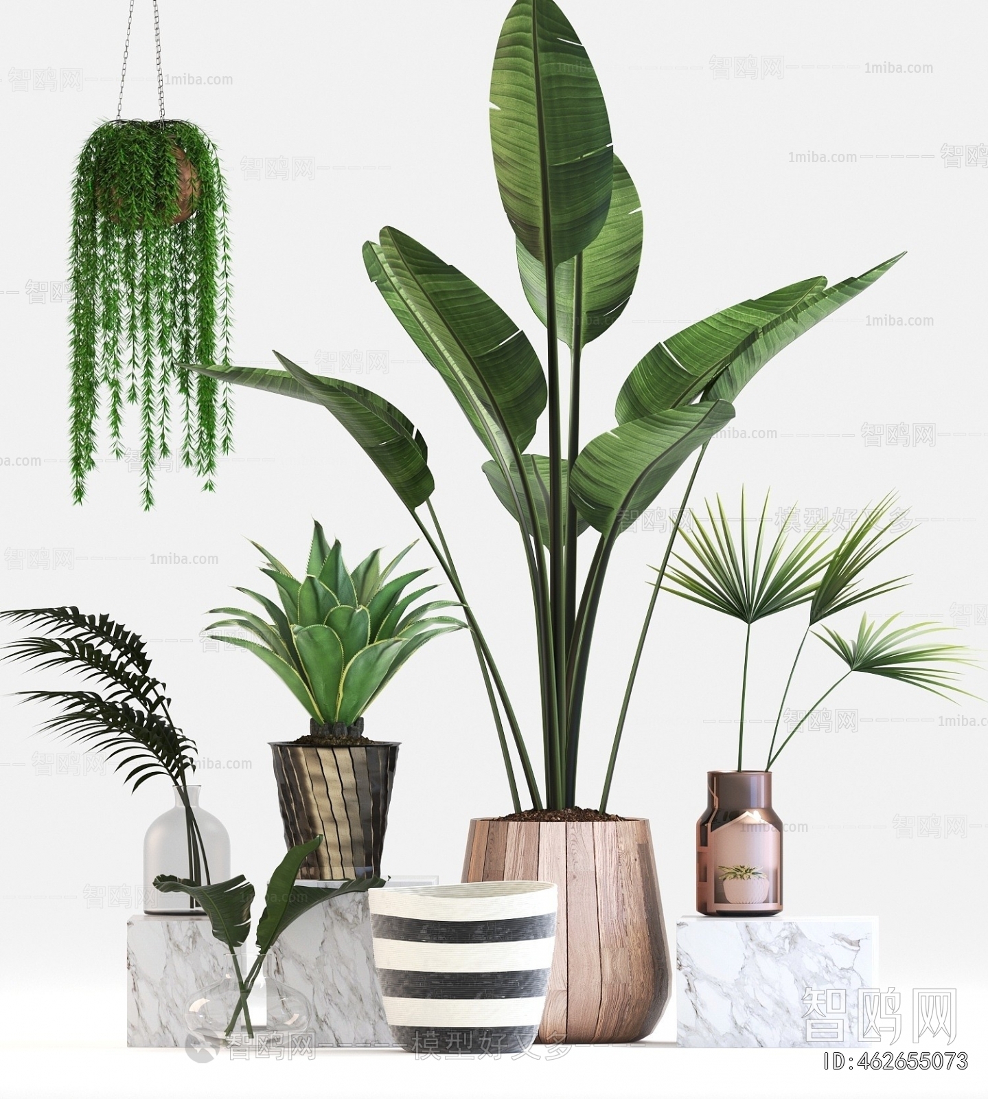 Modern Potted Green Plant