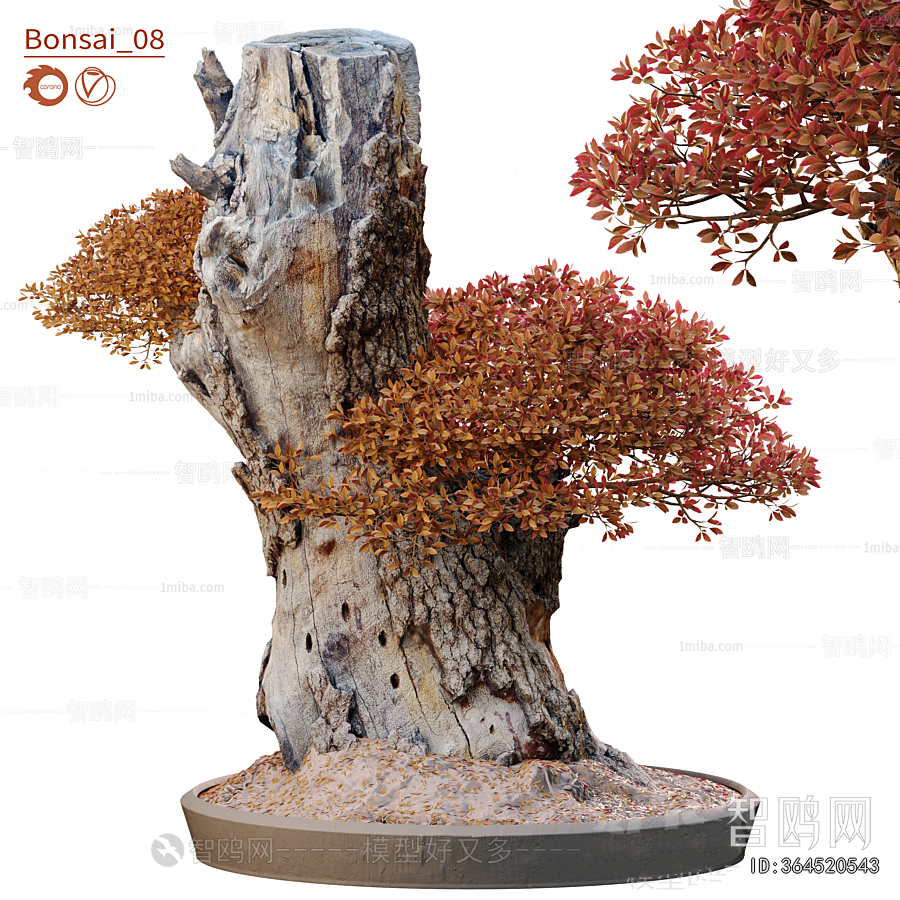 New Chinese Style Bonsai