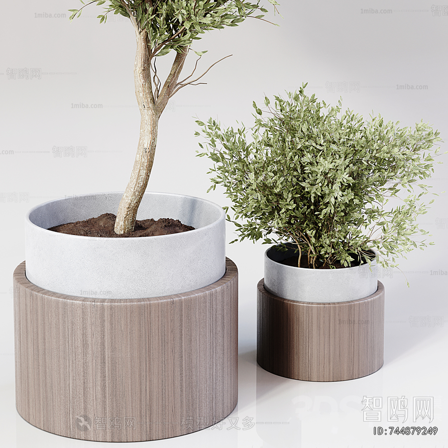 Modern Ground Green Plant Potted Plants