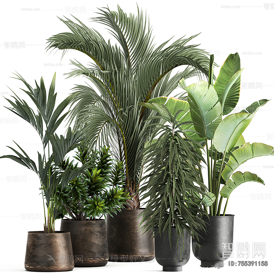 Modern Ground Green Plant Potted Plants