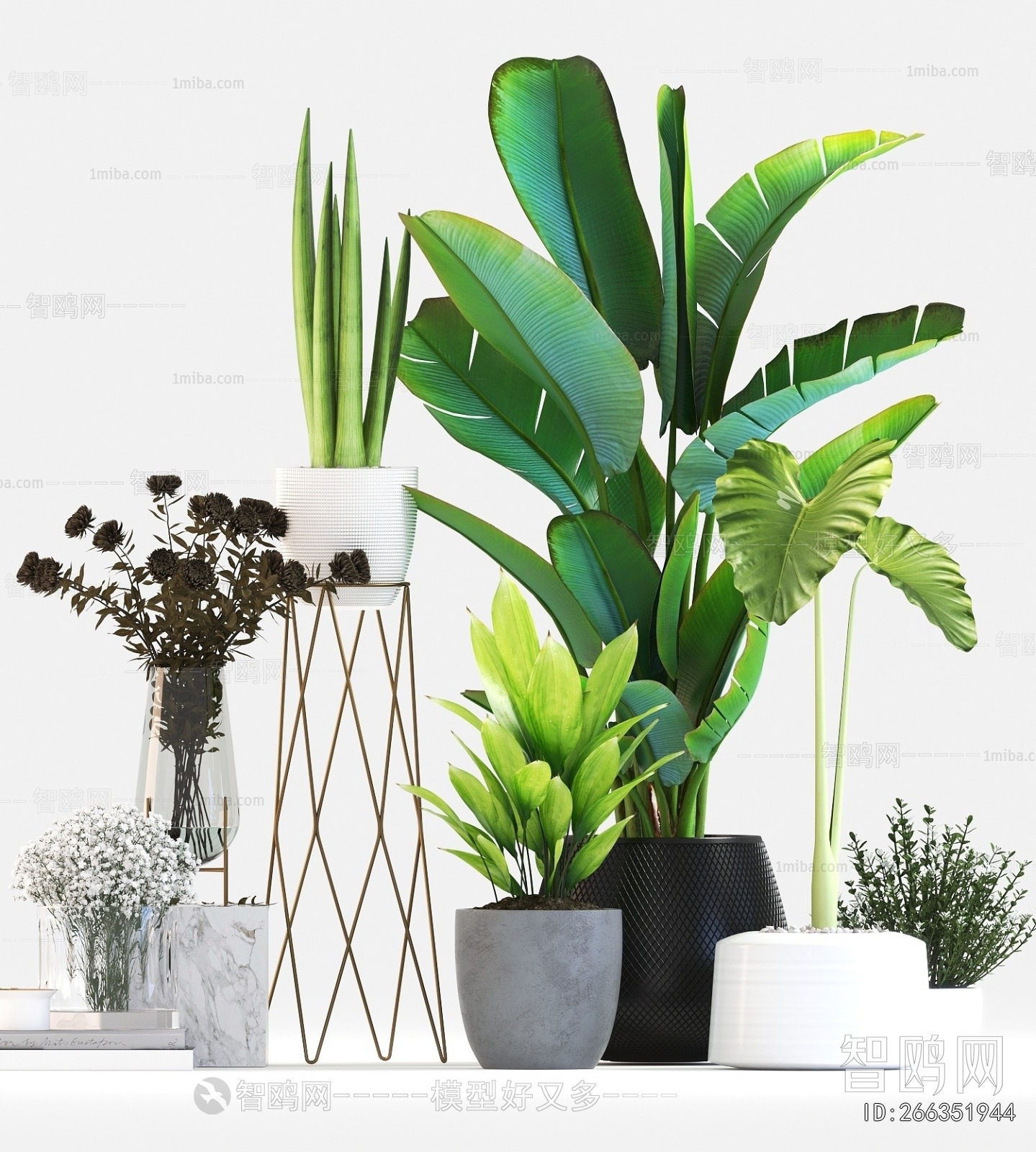 Modern Potted Green Plant