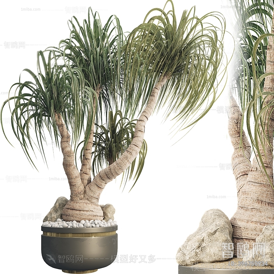 Modern Ground Green Plant Potted Plants
