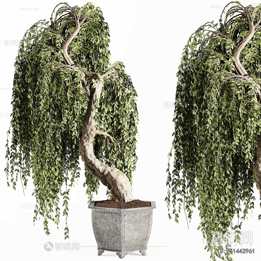 Modern Ground Green Plant Potted Plants