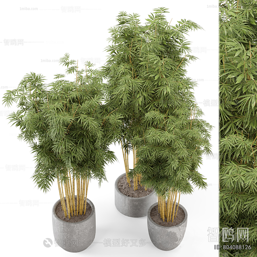 现代竹子盆栽组合