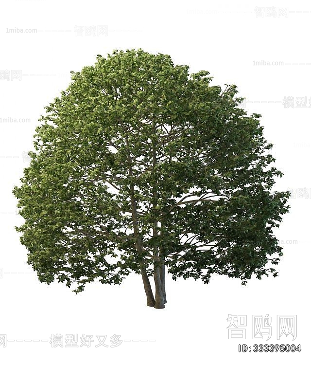 Modern Tree