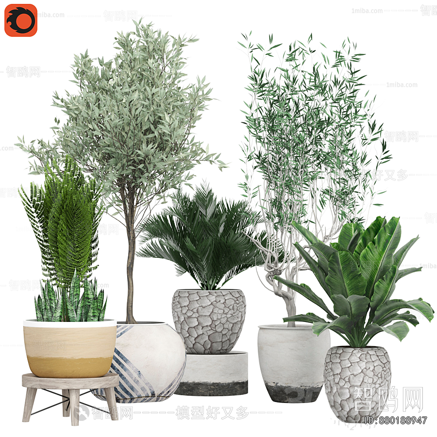 Modern Ground Green Plant Potted Plants