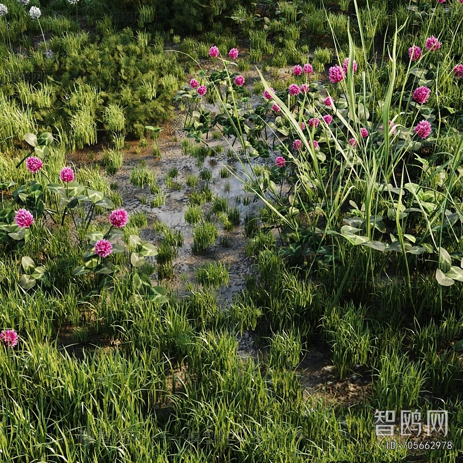 Modern Flowers And Grass