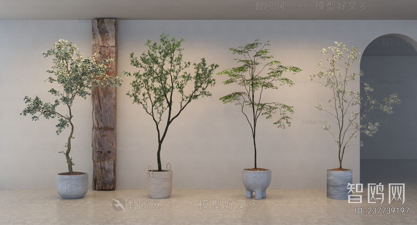 Modern Ground Green Plant Potted Plants