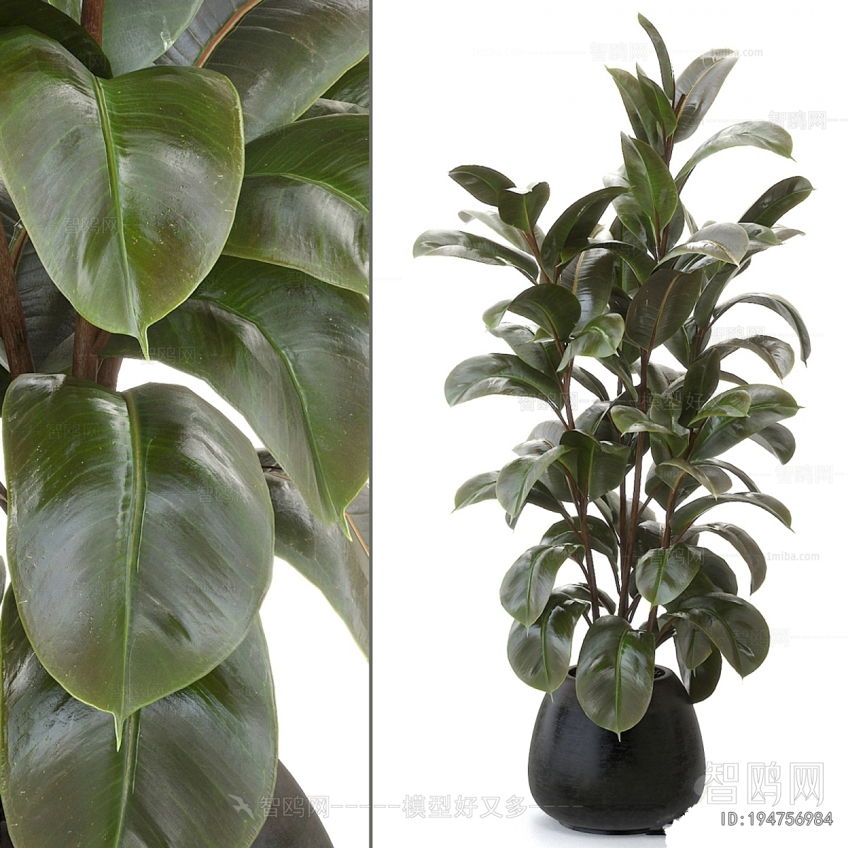 Modern Ground Green Plant Potted Plants