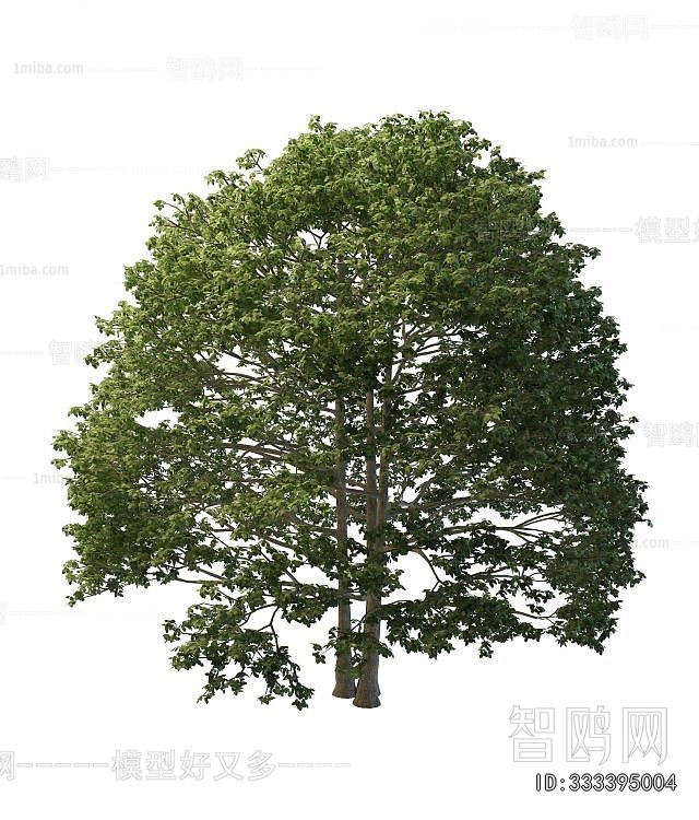 Modern Tree