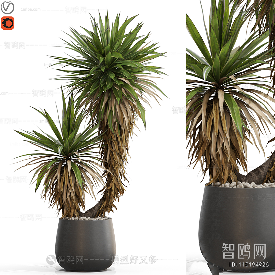 Modern Ground Green Plant Potted Plants
