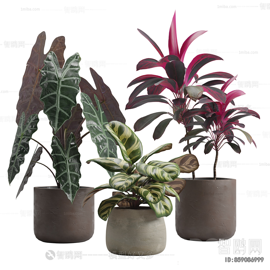 Modern Ground Green Plant Potted Plants