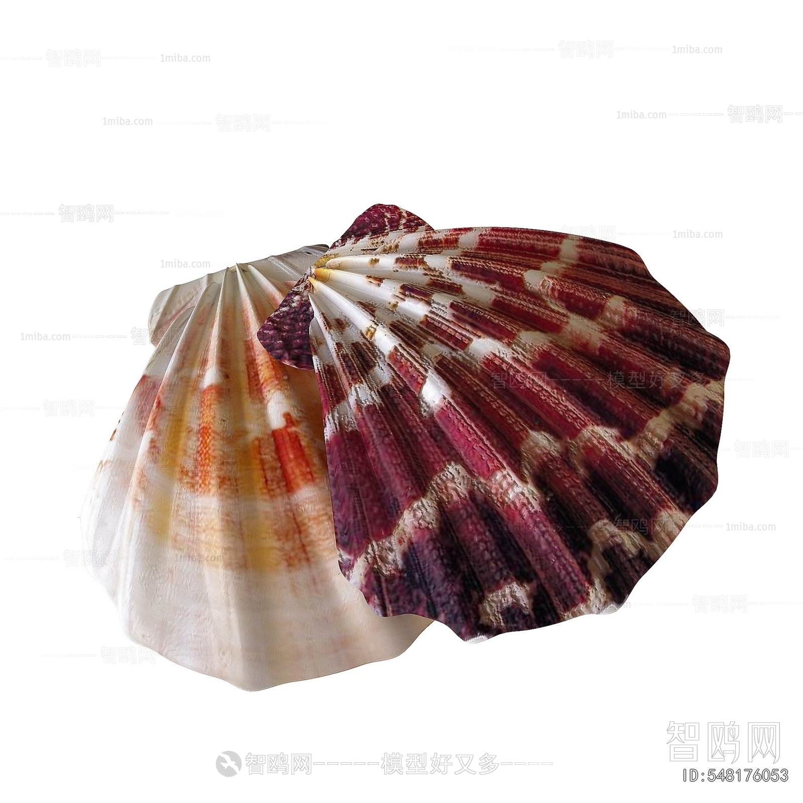 Modern Aquatic Animals