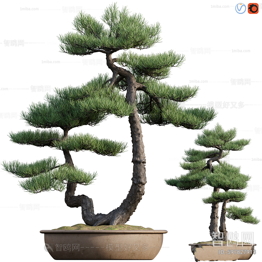 Modern Bonsai