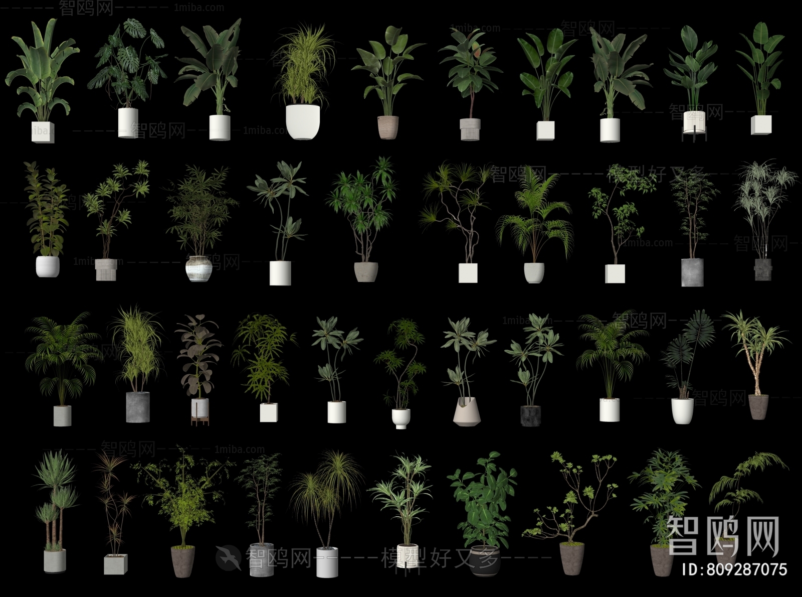 Modern Ground Green Plant Potted Plants