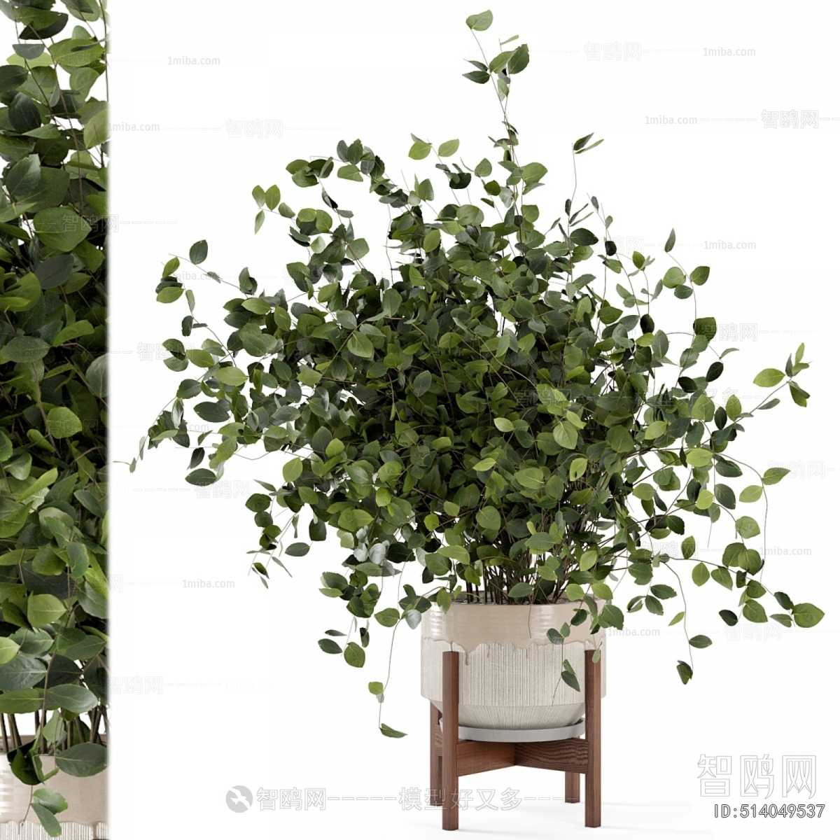 Modern Ground Green Plant Potted Plants