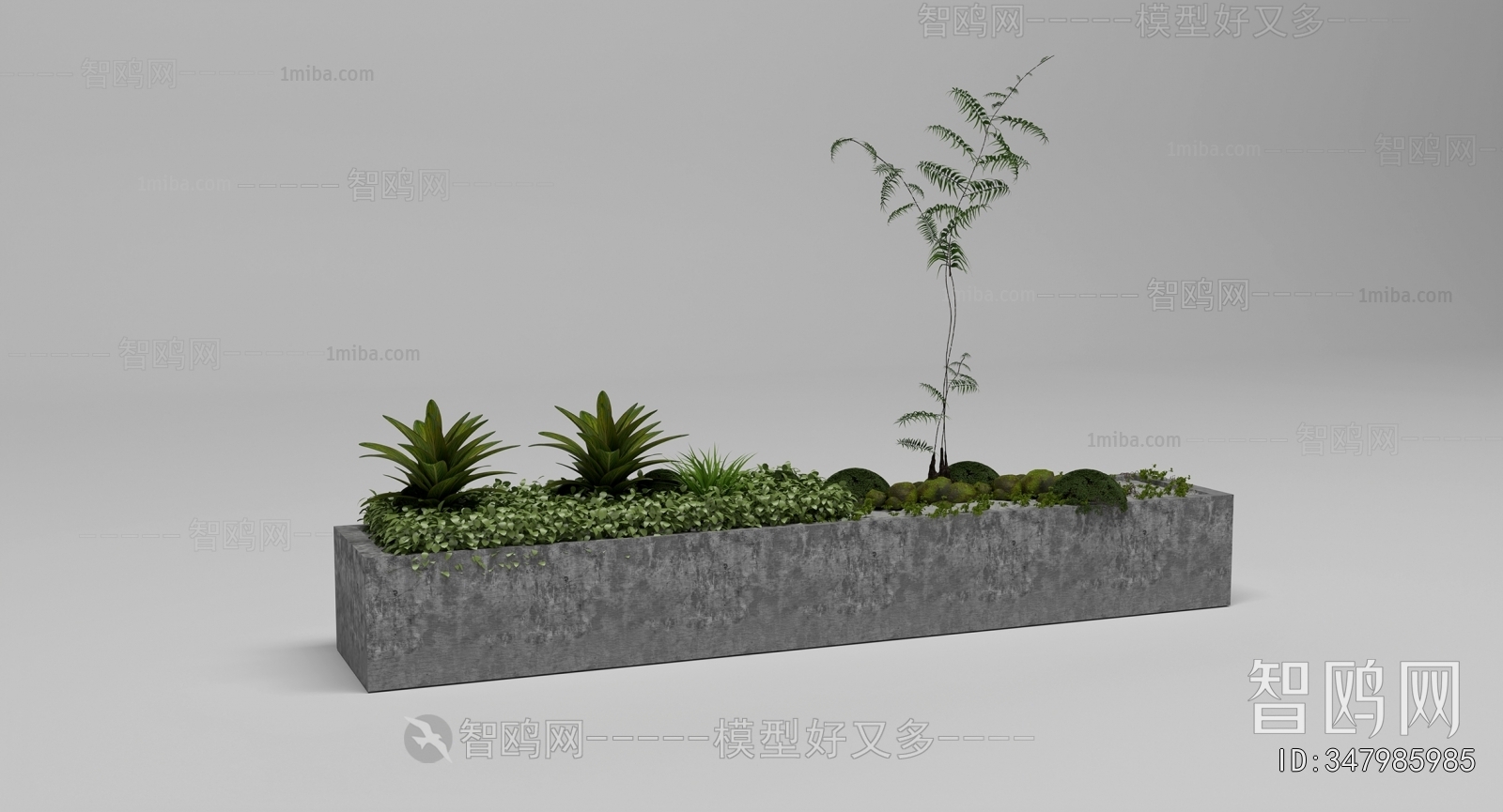 Modern Flower Bed, Flower Bowl, Flower Box