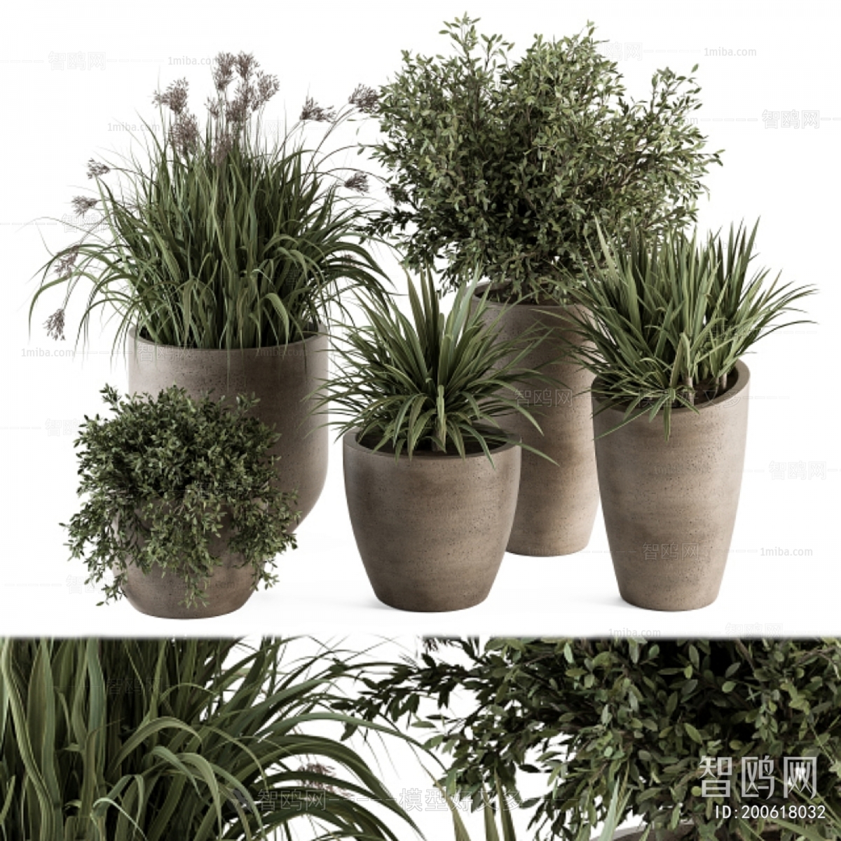 Modern Ground Green Plant Potted Plants