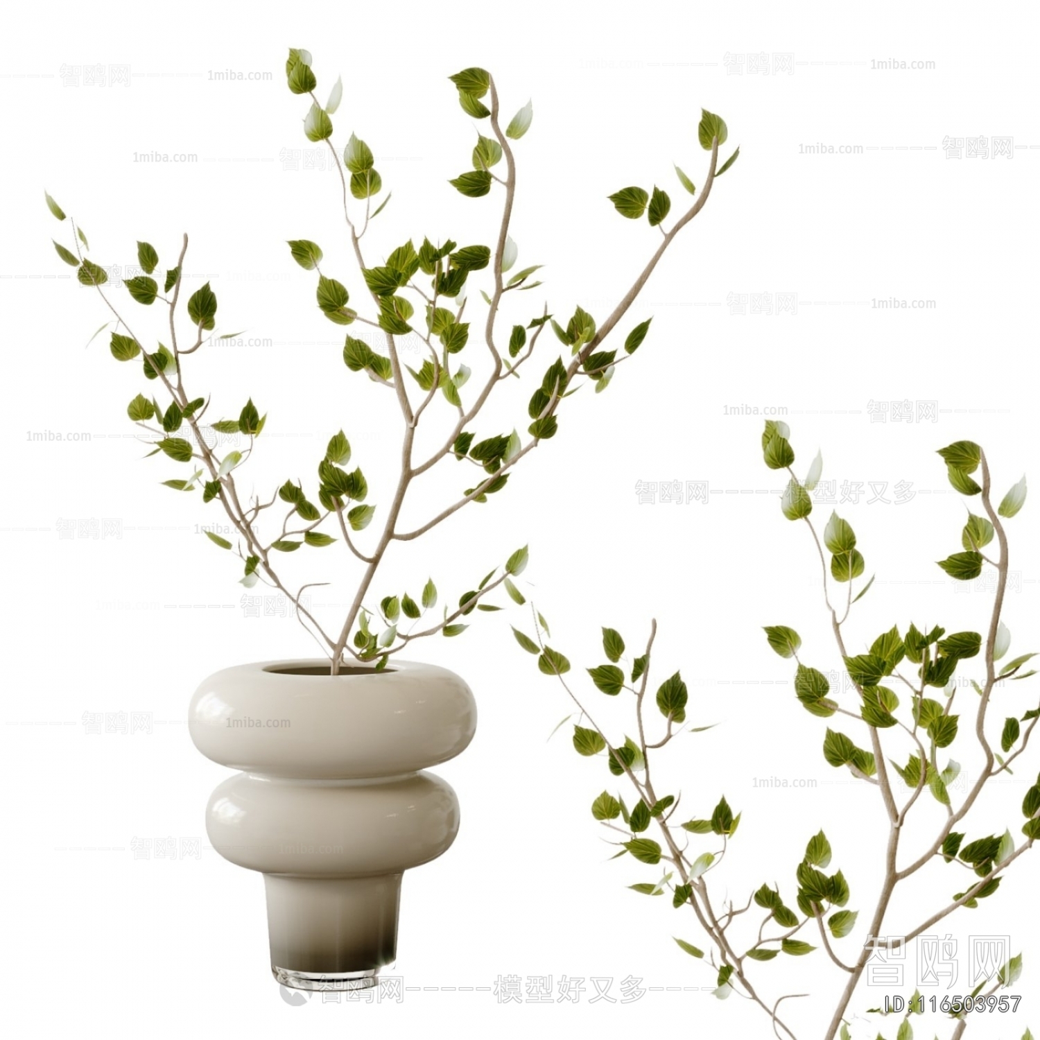 Modern Aquatic Green Plant