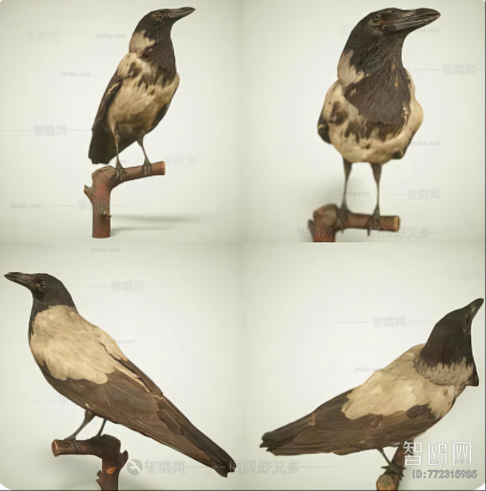 Modern Flying Animals