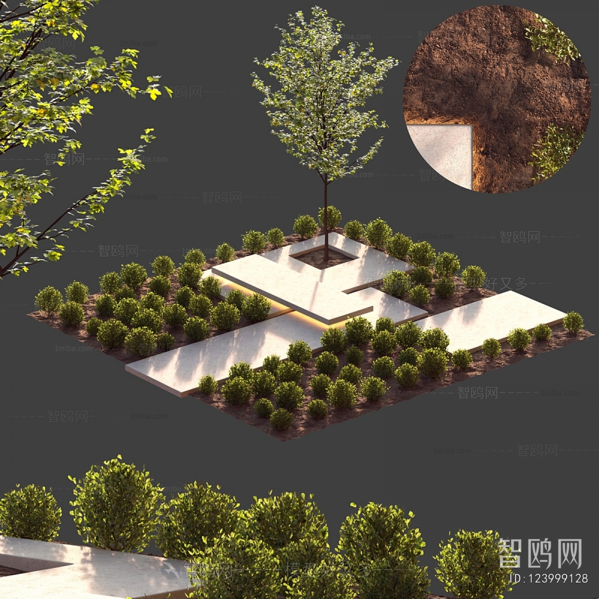 Modern Plant Landscaping