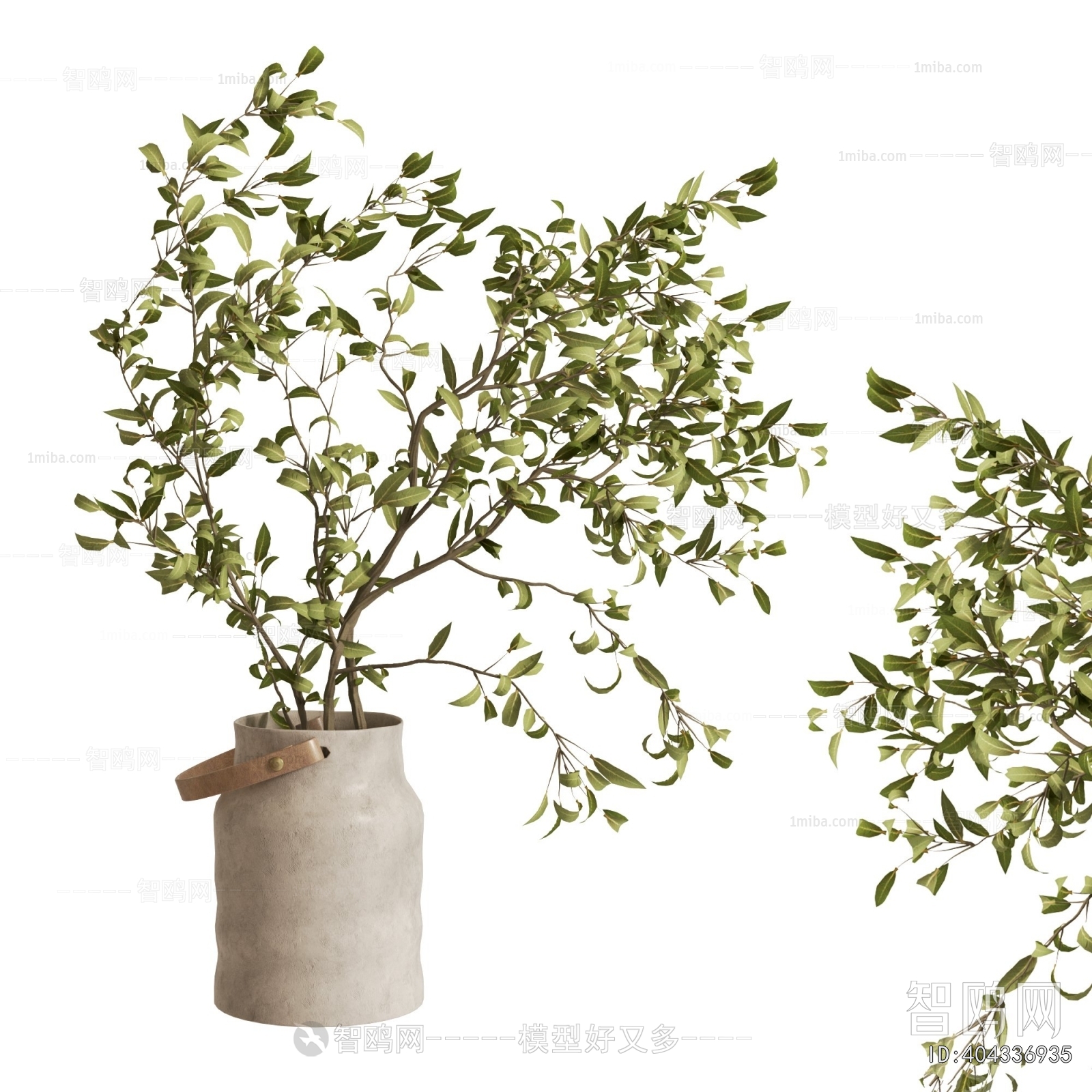 Modern Aquatic Green Plant