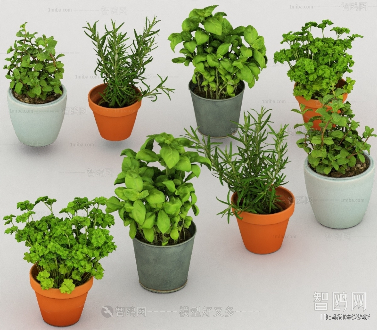 Modern Potted Green Plant