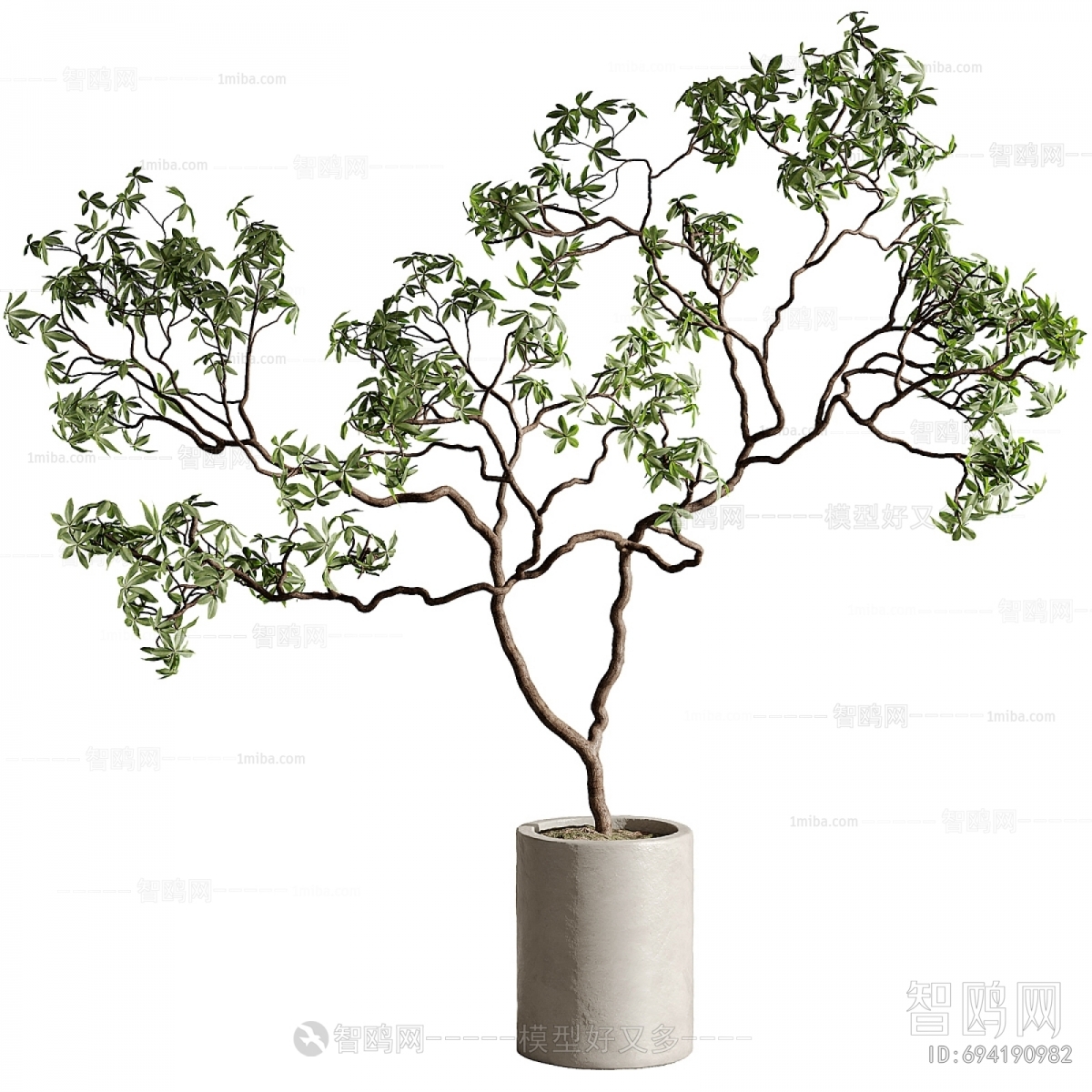 Modern Ground Green Plant Potted Plants