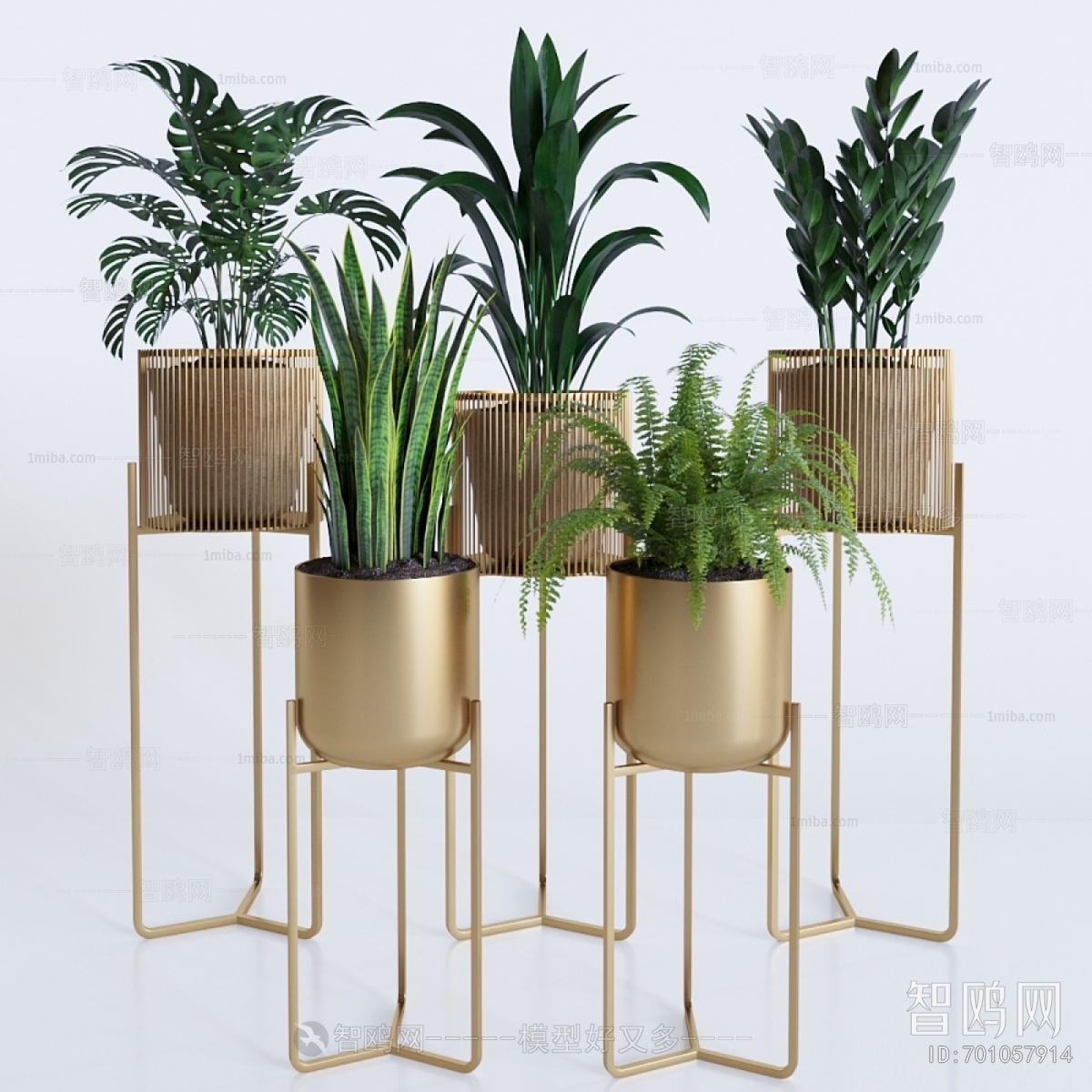 Modern Potted Green Plant