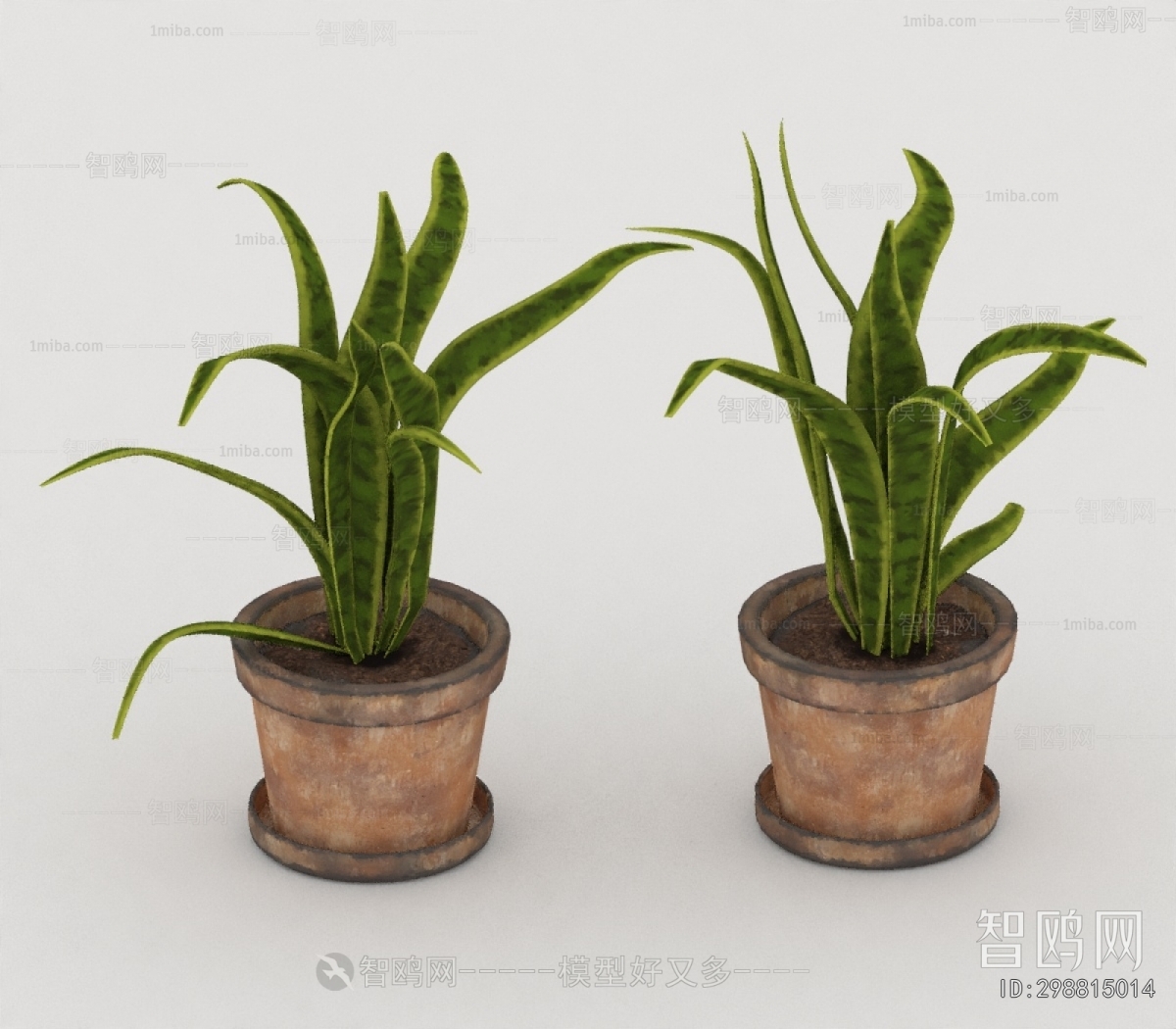 Modern Potted Green Plant