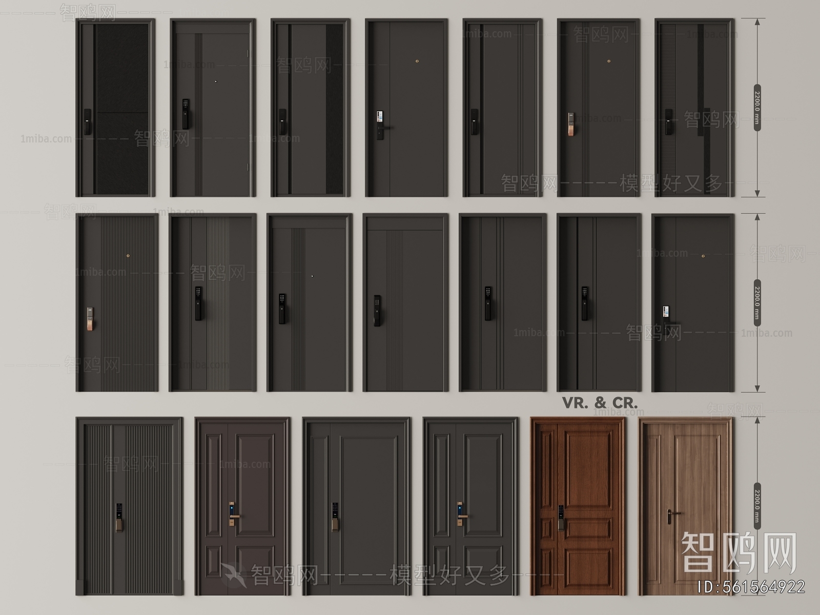 Modern Entrance Door