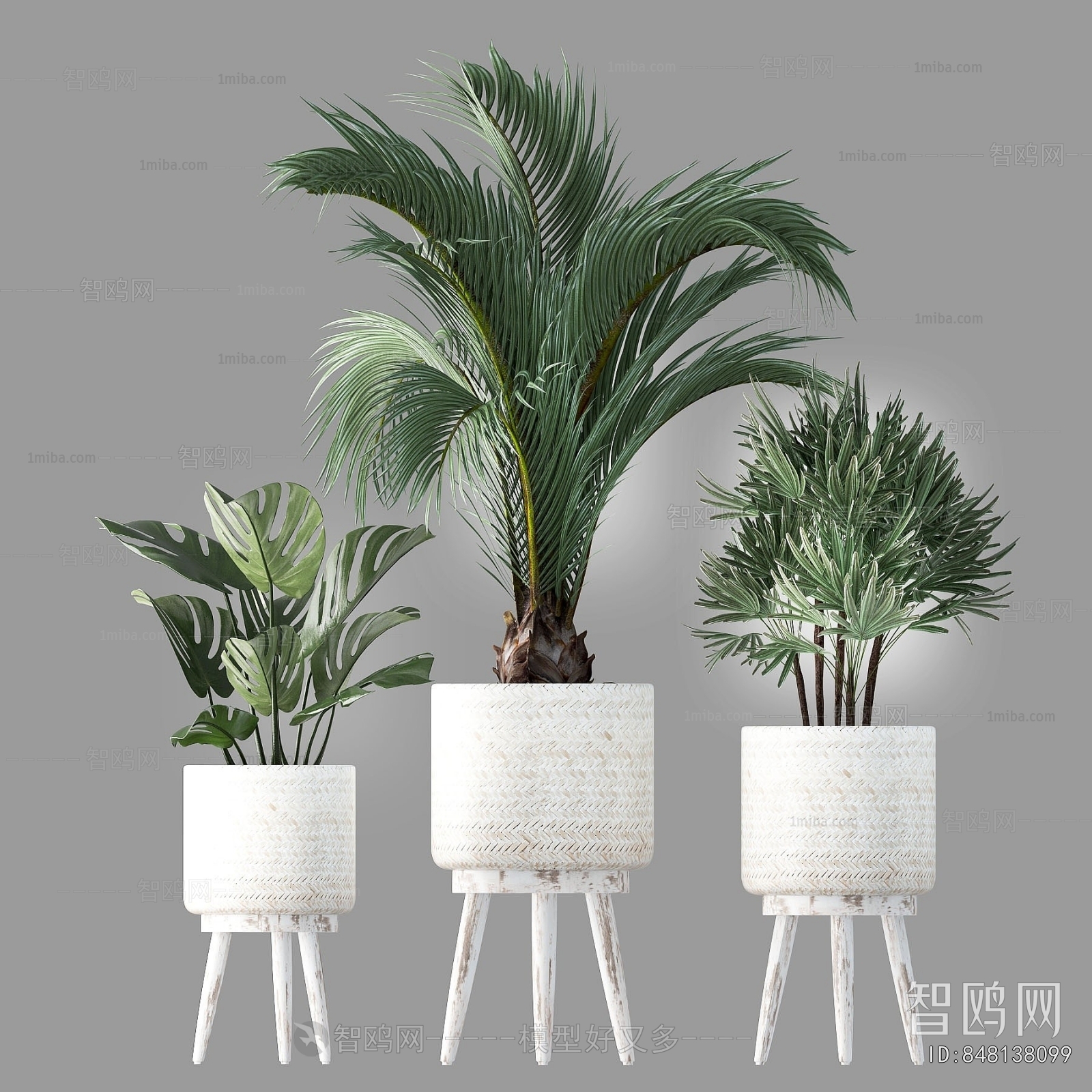 Nordic Style Potted Green Plant