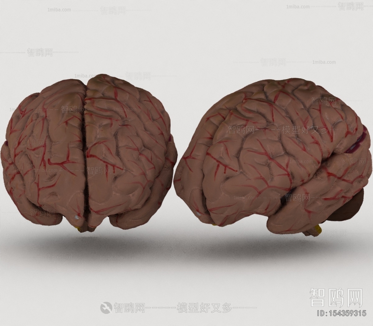 Modern Medical Equipment