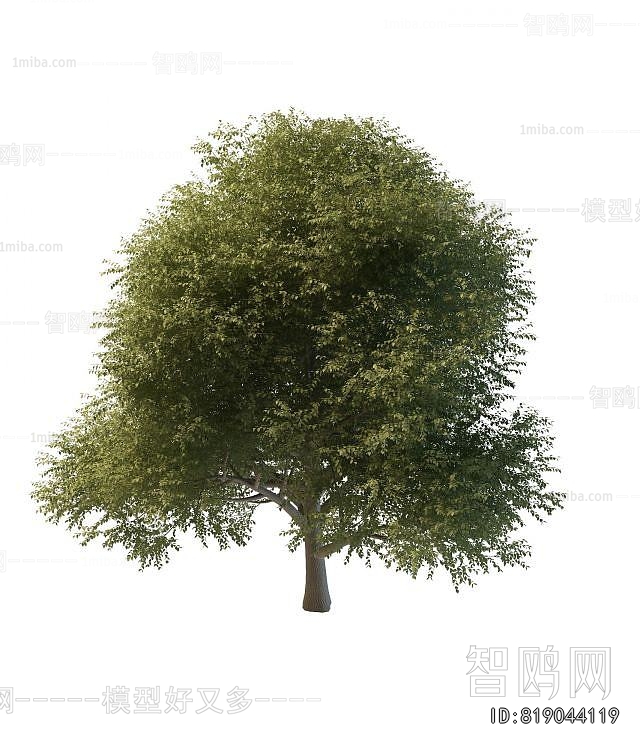 Modern Tree