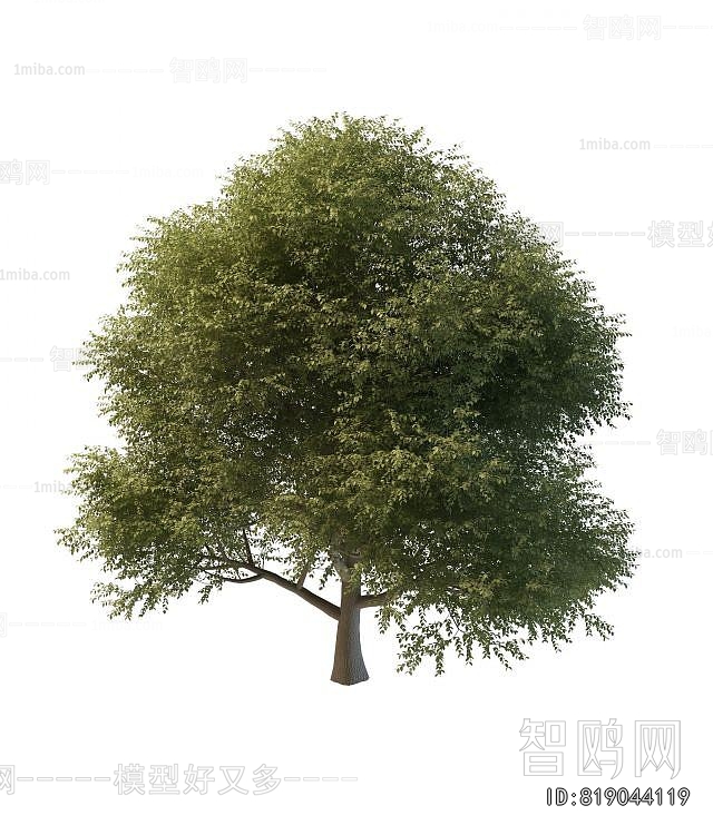 Modern Tree