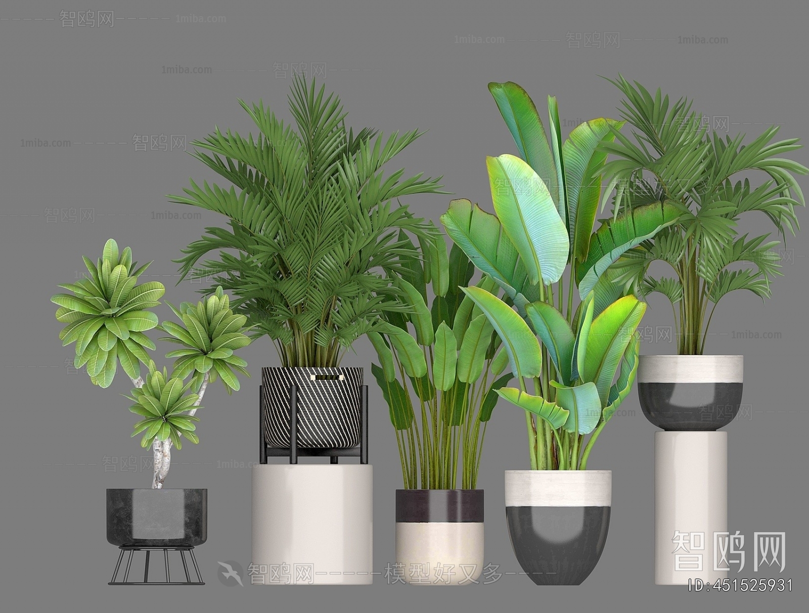 Modern Ground Green Plant Potted Plants