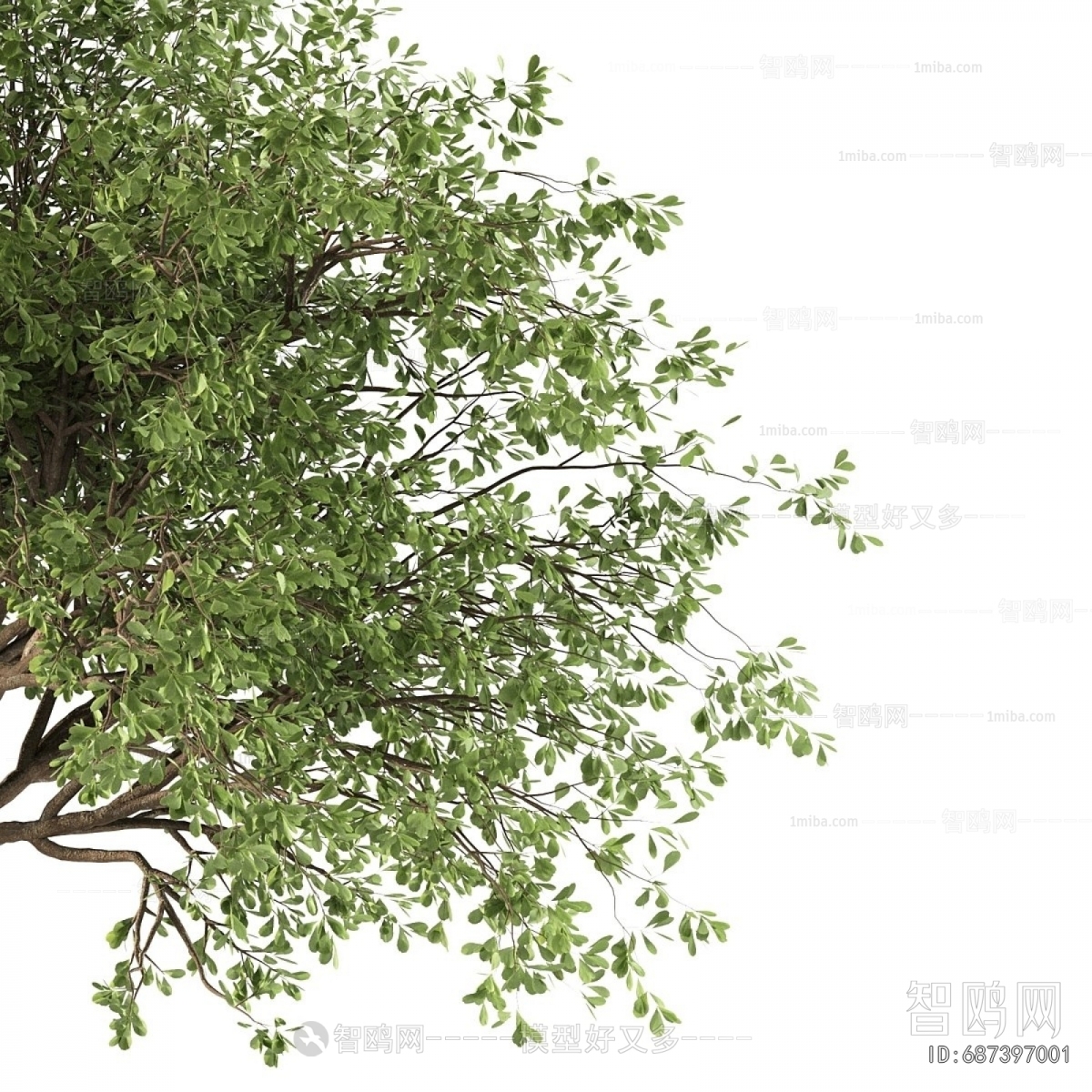 现代景观树组合