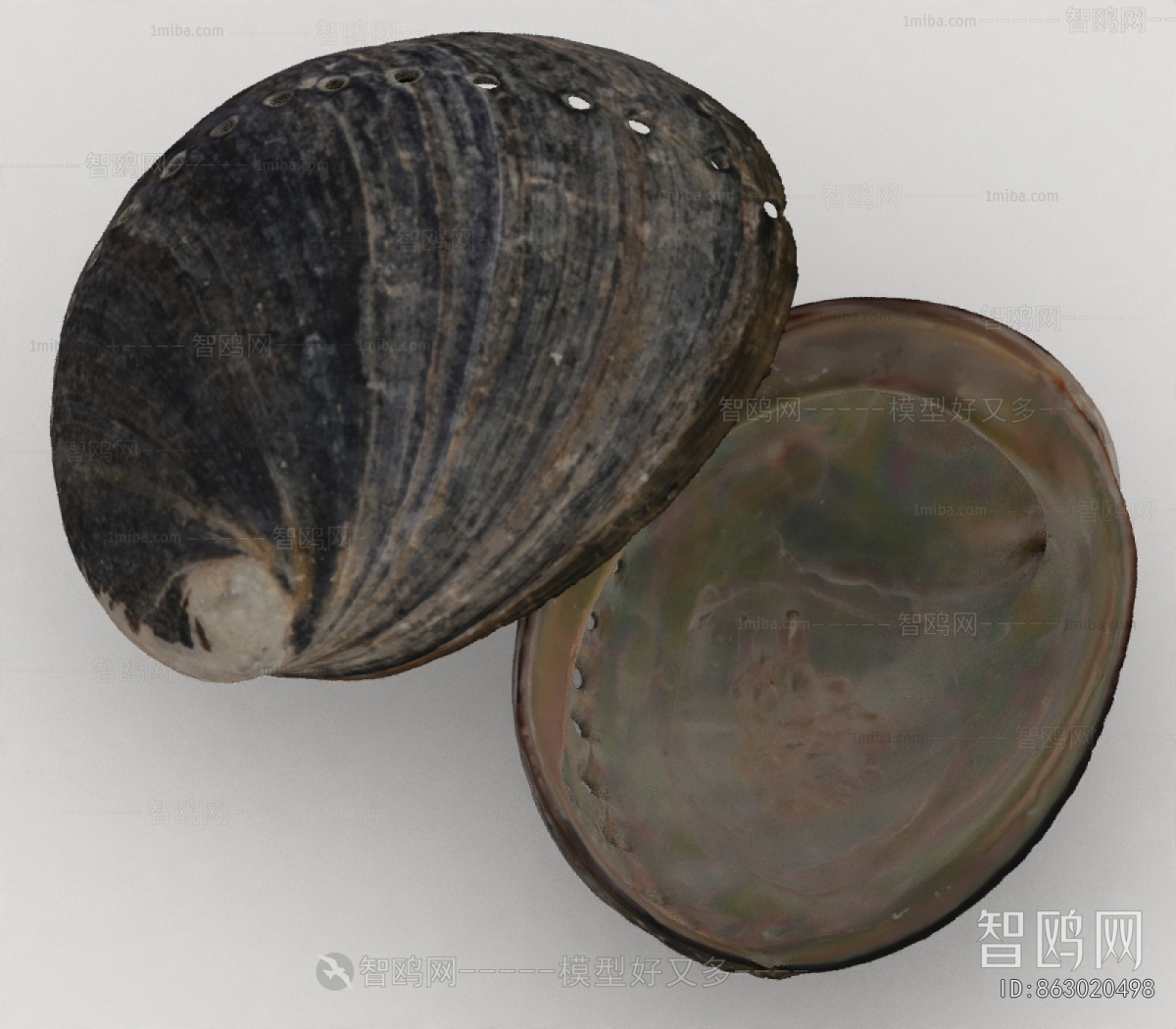 Modern Aquatic Product