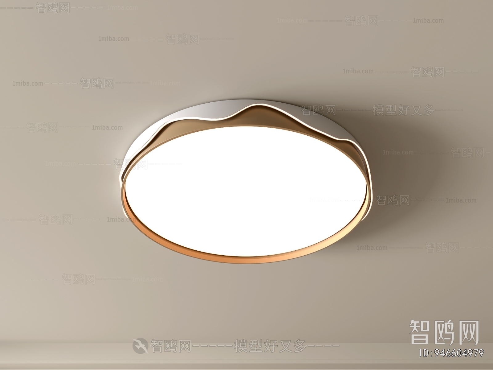 Modern Ceiling Ceiling Lamp