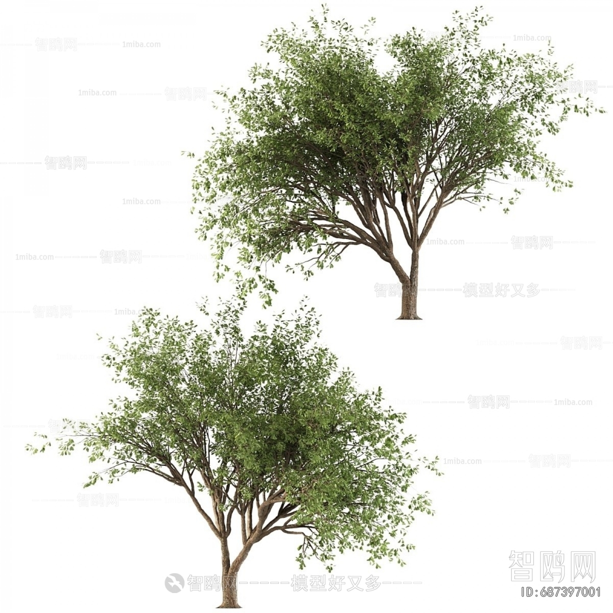 现代景观树组合